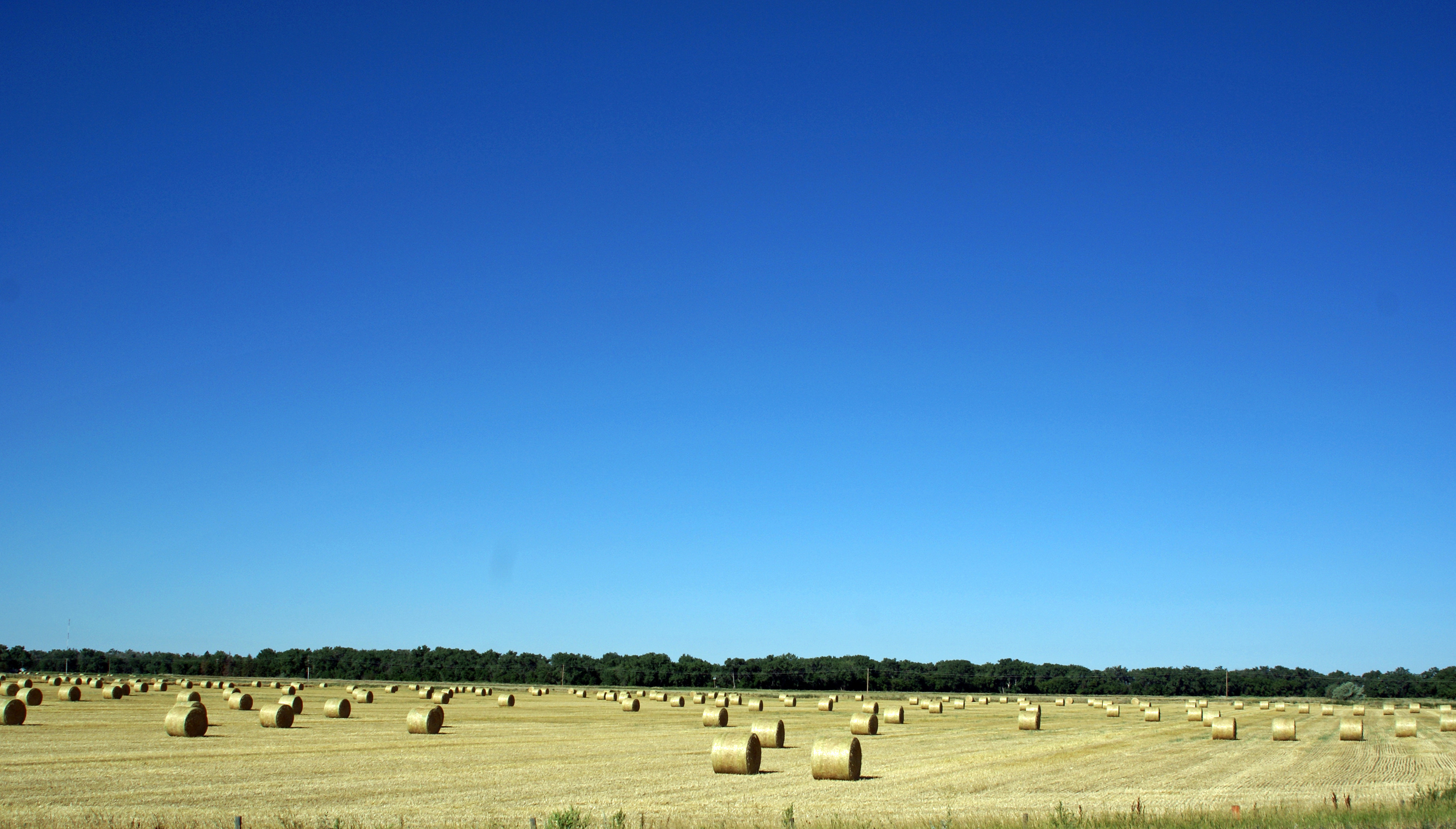 Fonds d'cran Nature Champs - Prairies BONNE RECOLTE