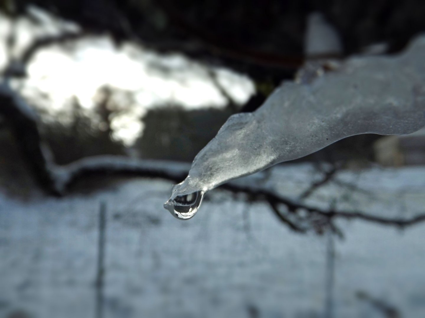 Fonds d'cran Nature Saisons - Hiver en hiver...