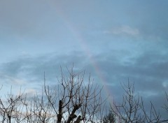 Fonds d'cran Nature arc en ciel