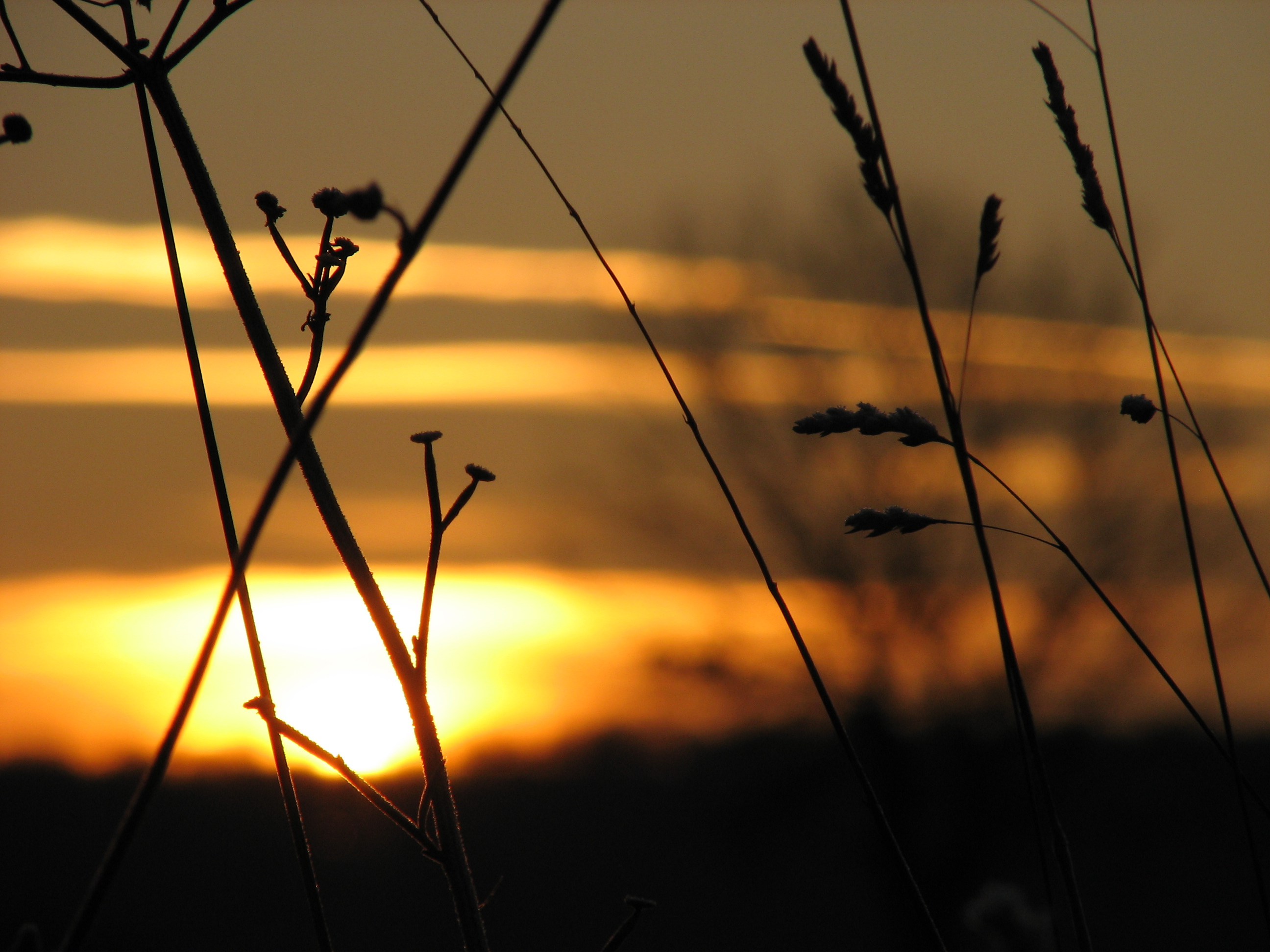 Fonds d'cran Nature Couchers et levers de Soleil 