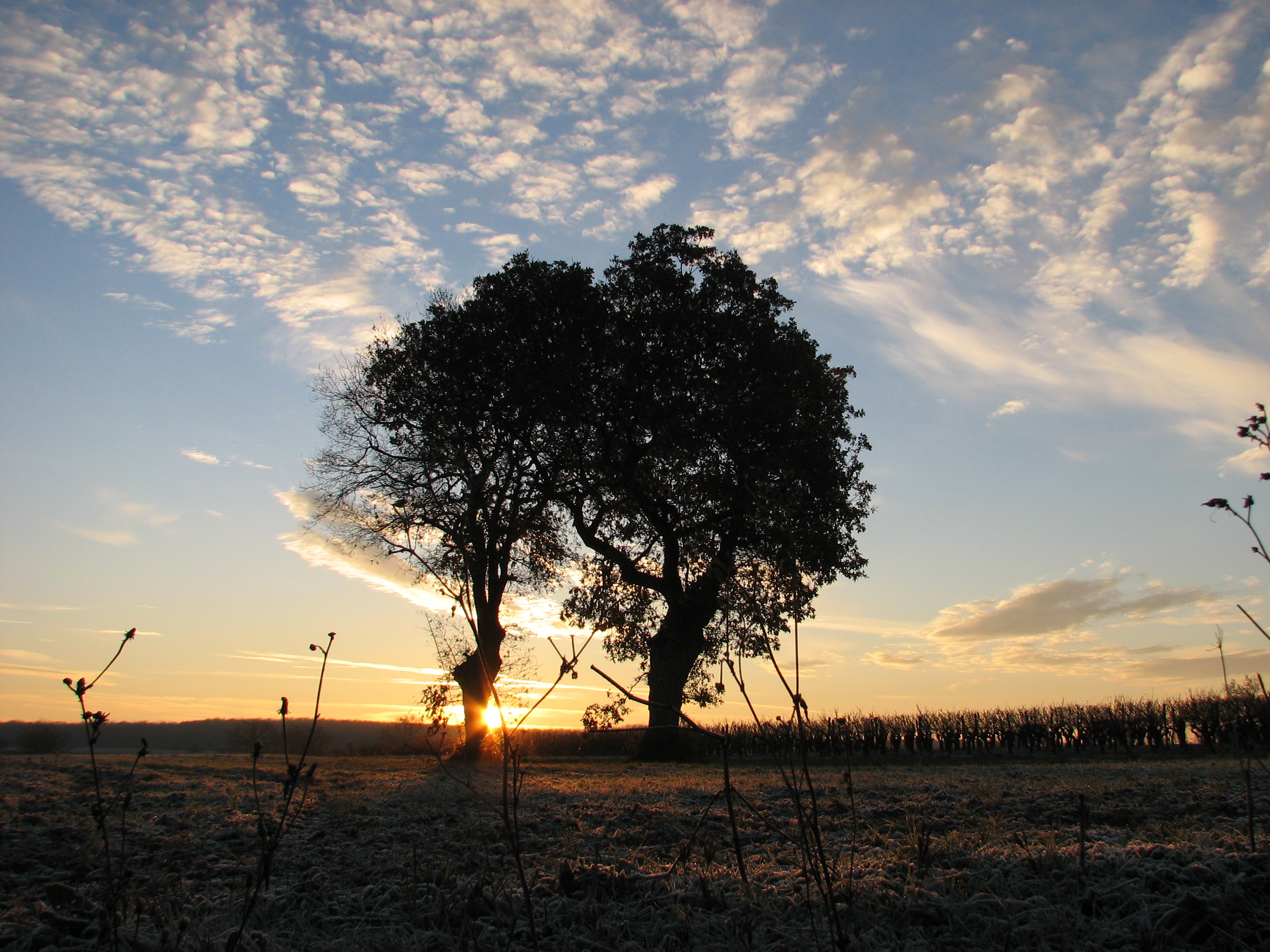 Fonds d'cran Nature Couchers et levers de Soleil 