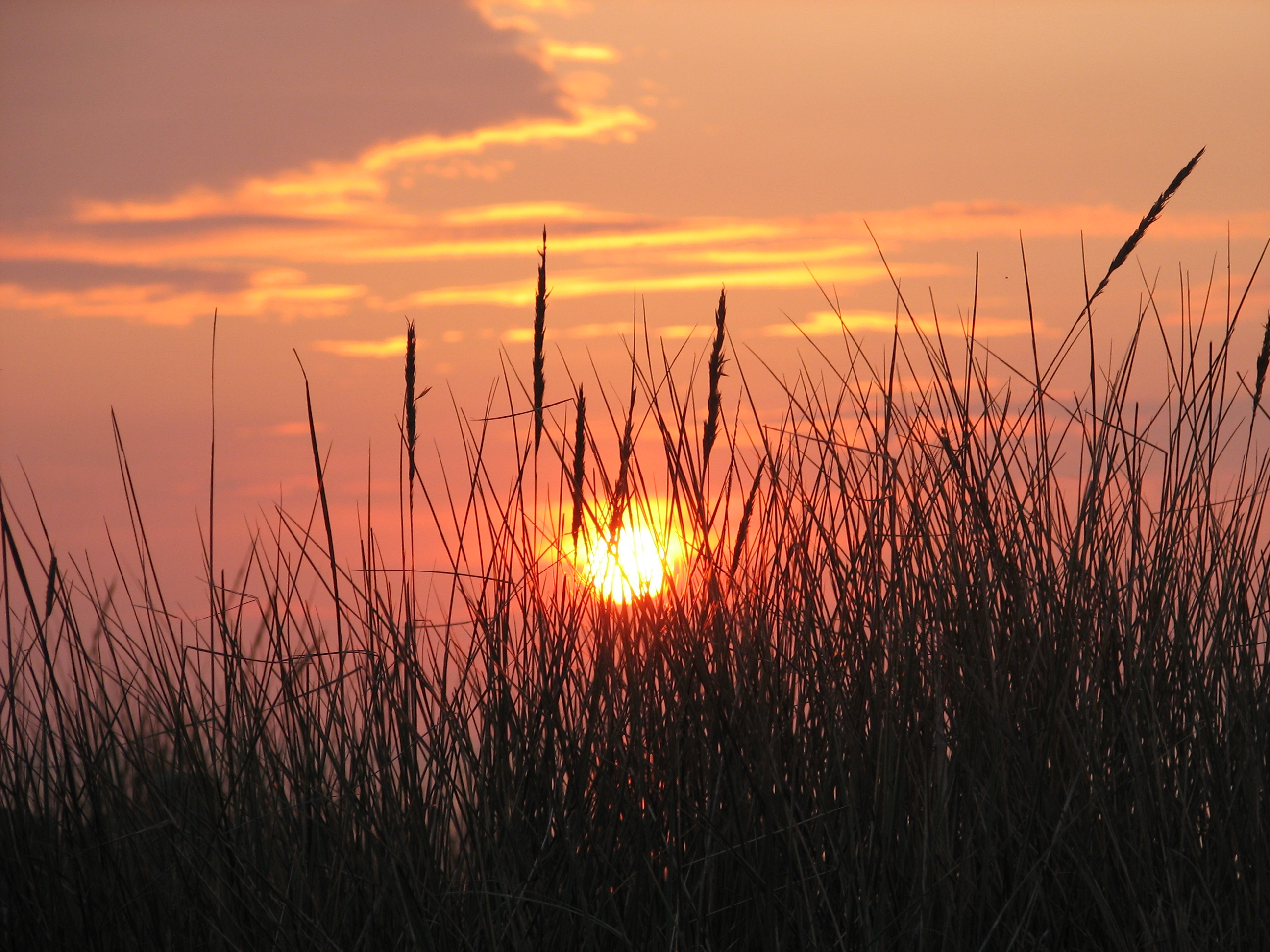 Fonds d'cran Nature Couchers et levers de Soleil 