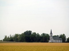  Nature EGLISE ABANDONN