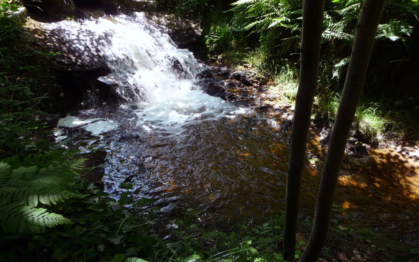 Fonds d'cran Nature Fleuves - Rivires - Torrents Ombrage