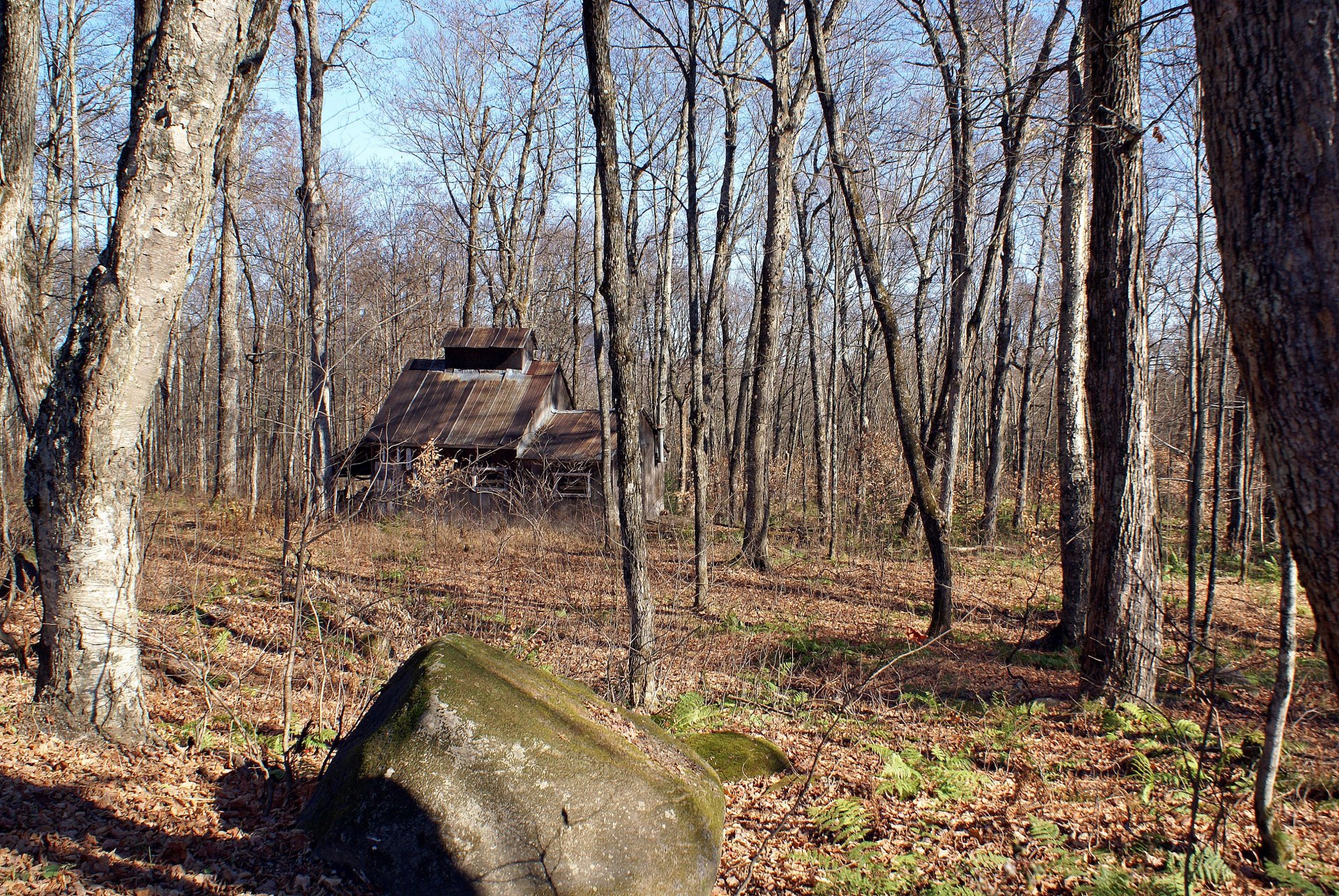 Fonds d'cran Nature Arbres - Forts VIEILLE CABANE A SUCRE