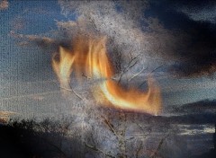  Digital Art Flamme