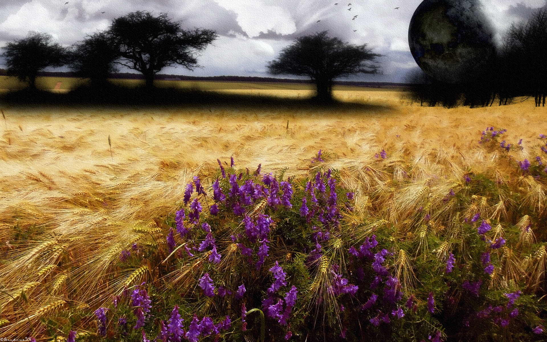 Wallpapers Digital Art Nature - Landscapes 