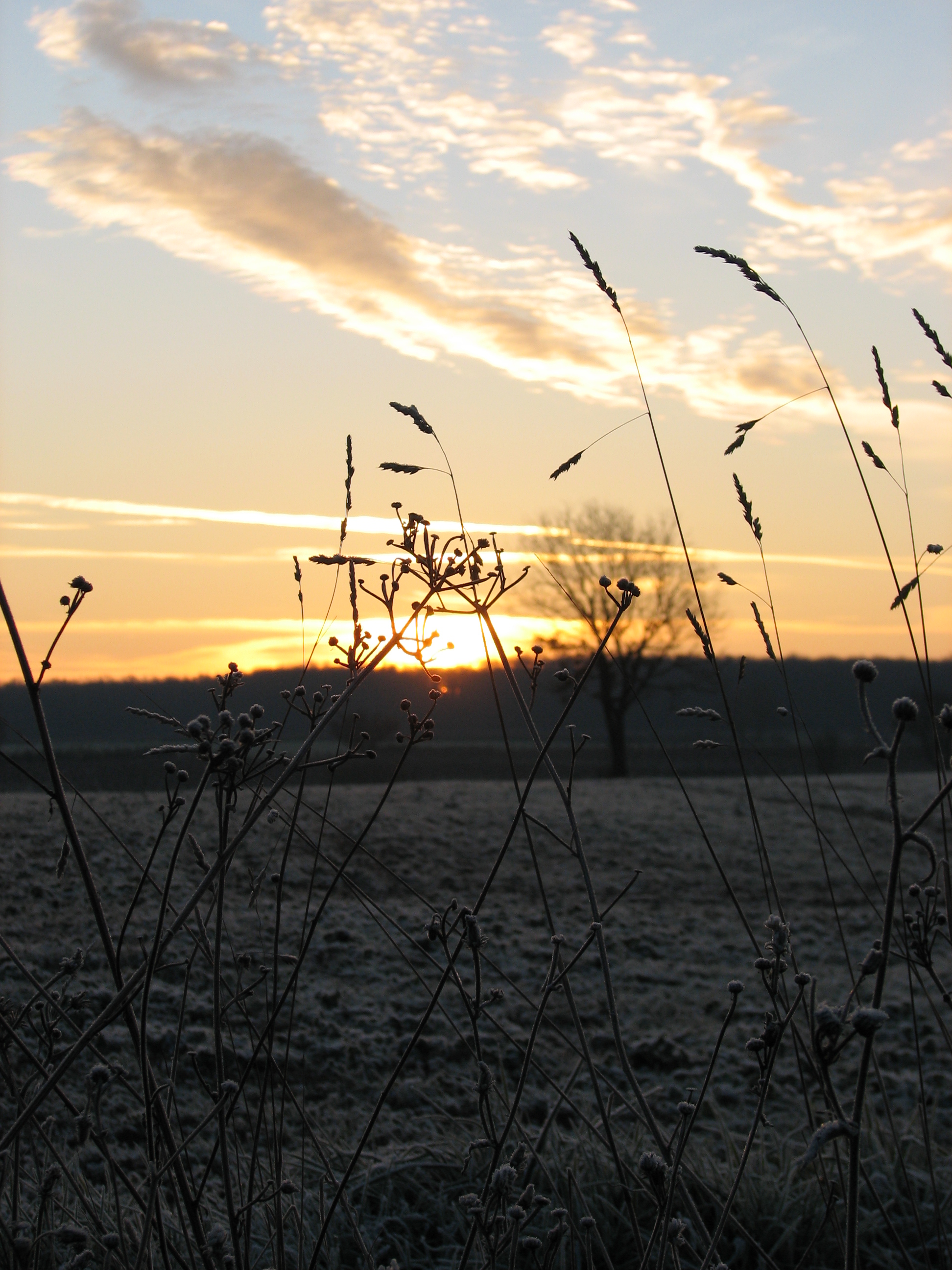 Fonds d'cran Nature Couchers et levers de Soleil 