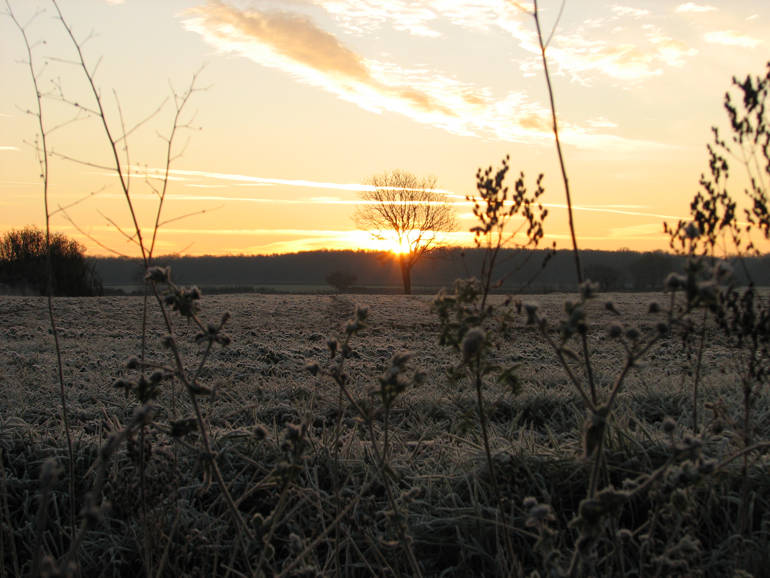 Fonds d'cran Nature Couchers et levers de Soleil 