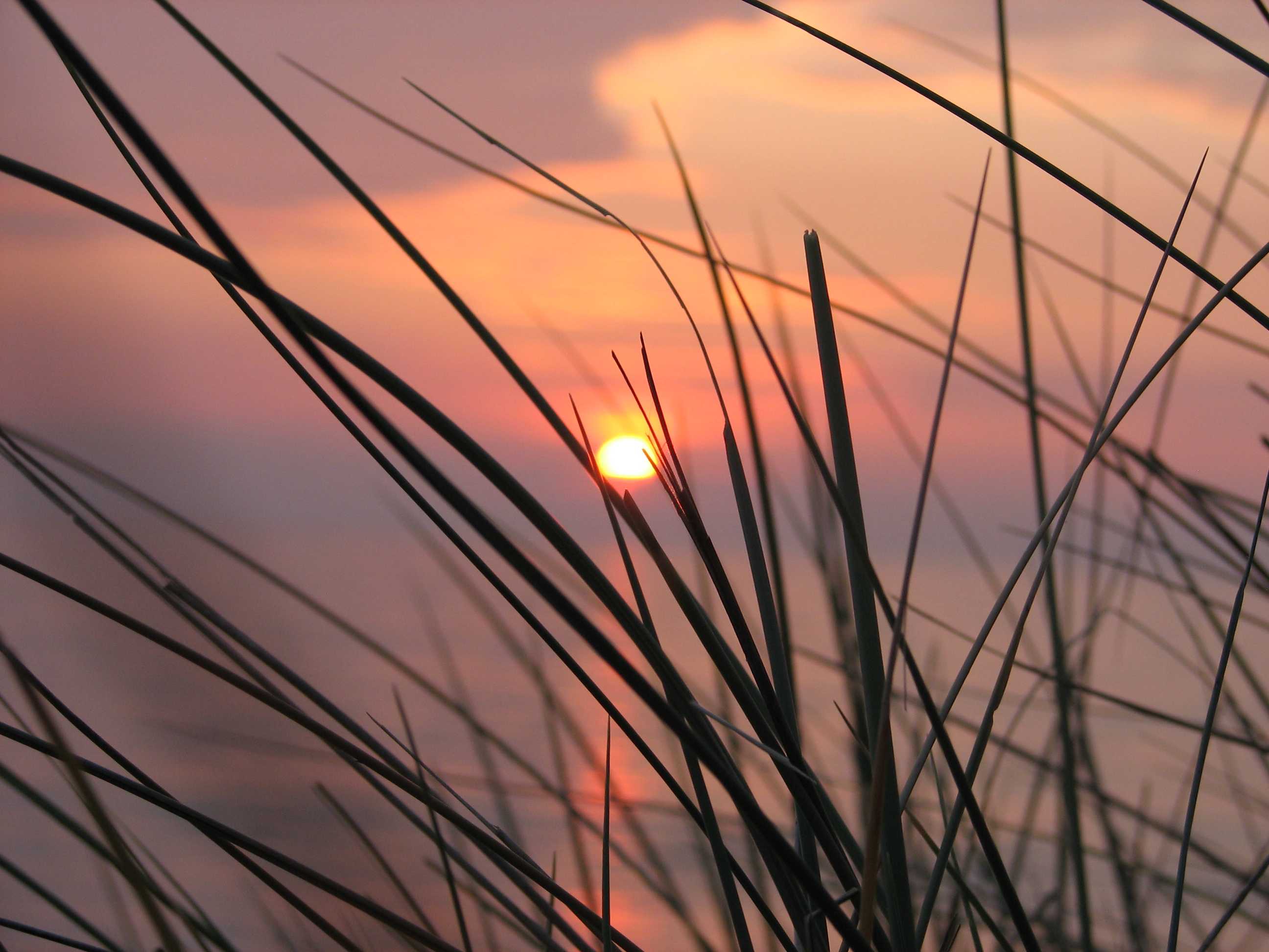 Fonds d'cran Nature Couchers et levers de Soleil 