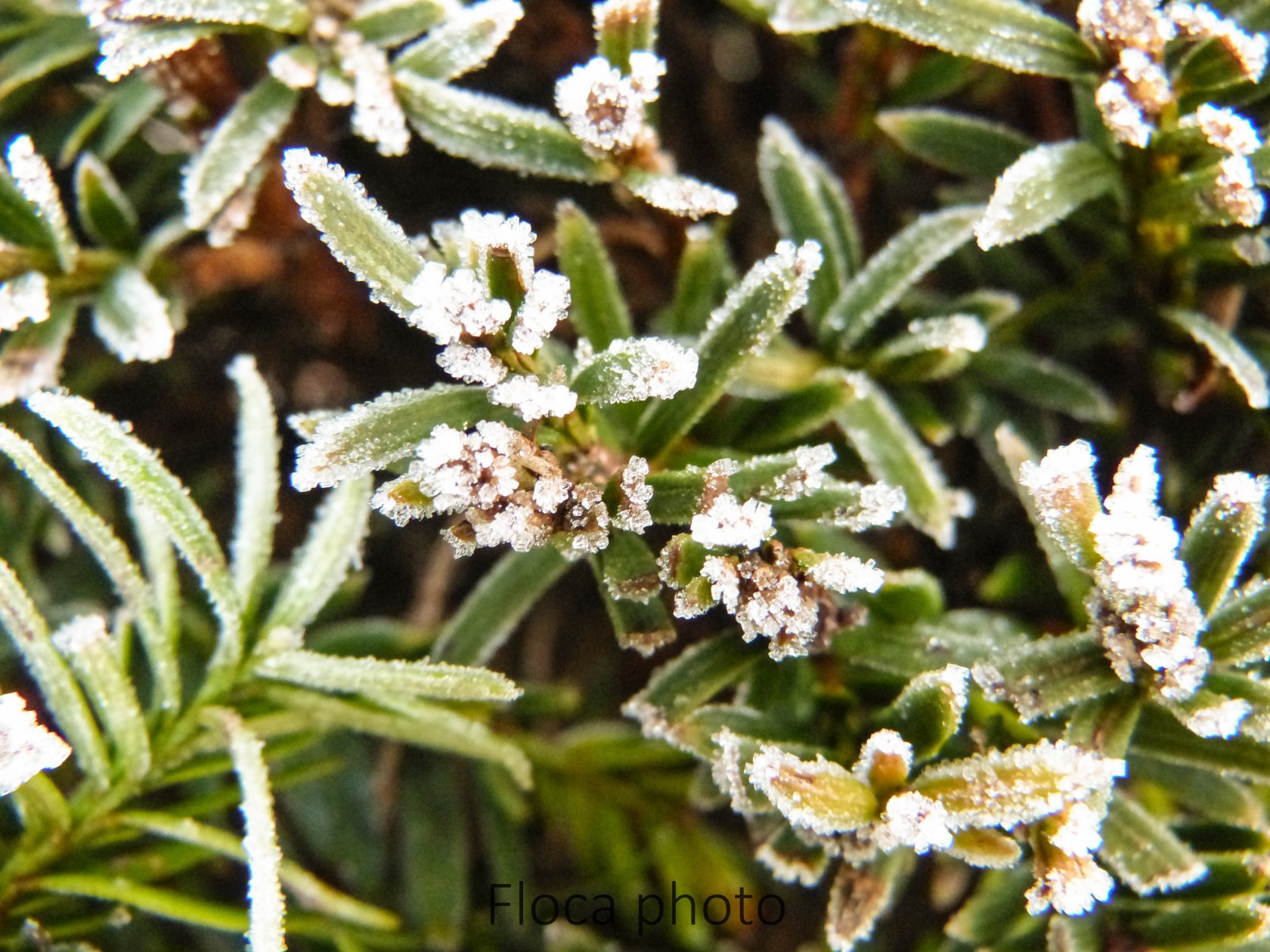 Fonds d'cran Nature Saisons - Hiver C'est l'Hiver...