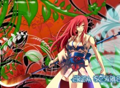  Manga Fairy tail Erza Scarlett Titannia,La reines des fées