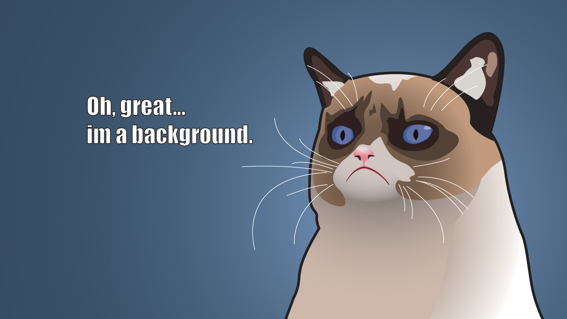 Wallpapers Humor Animals 