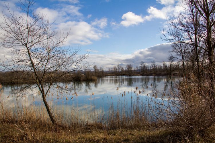 Fonds d'cran Nature Lacs - Etangs avec du ciel bleu