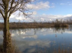  Nature avec du ciel bleu