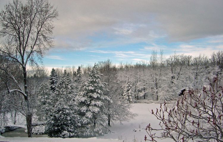 Fonds d'cran Nature Saisons - Hiver 1ER NEIGE