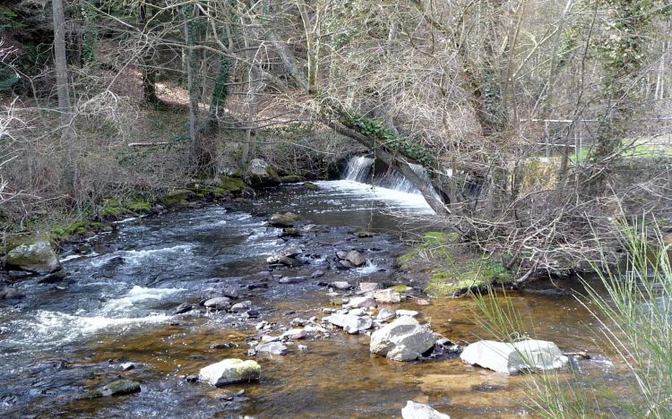 Fonds d'cran Nature Fleuves - Rivires - Torrents La Gartempe