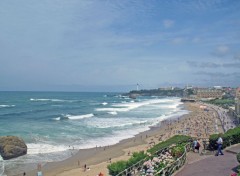  Nature LA REINE DES PLAGES