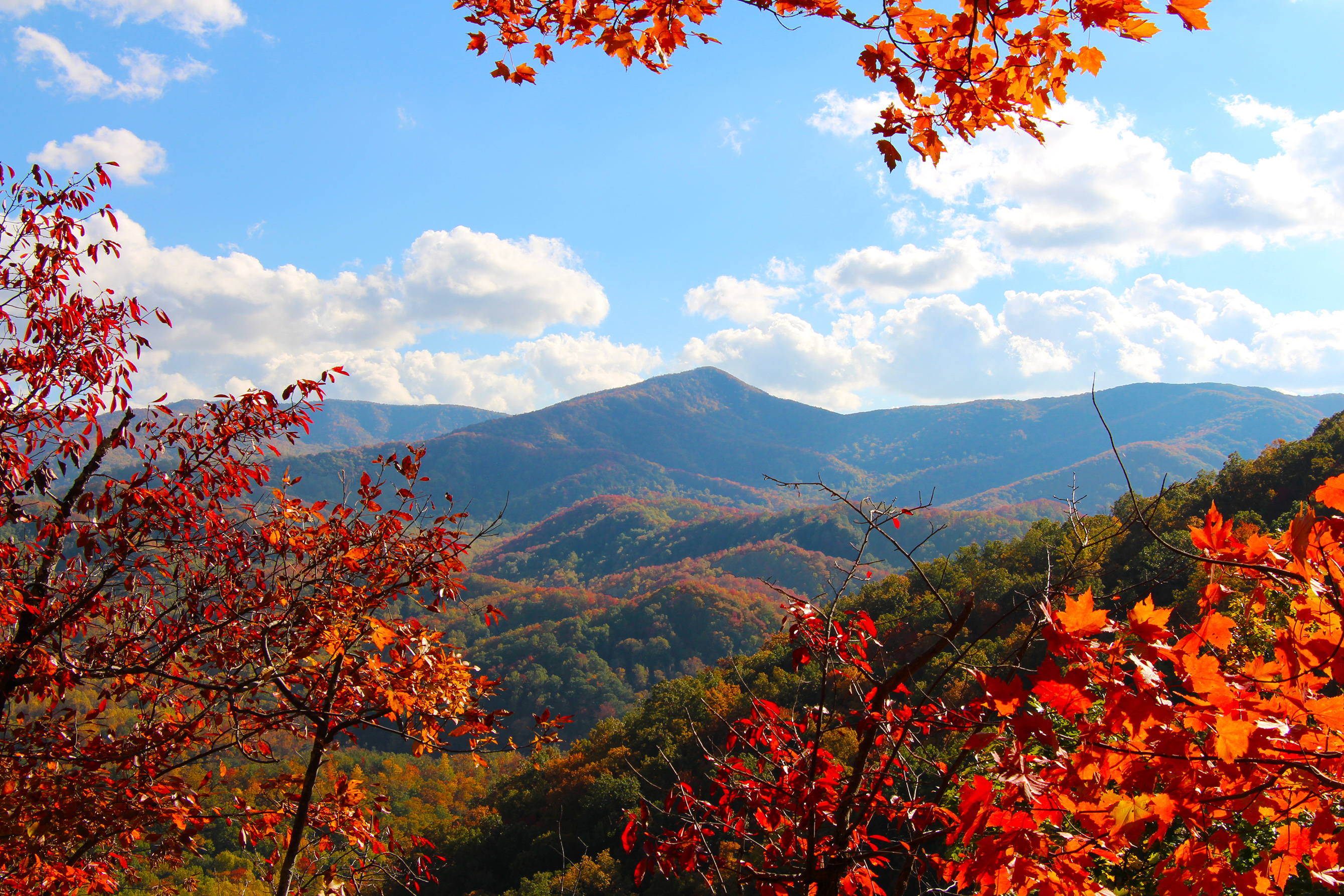 Fonds d'cran Nature Paysages Smokey moutains