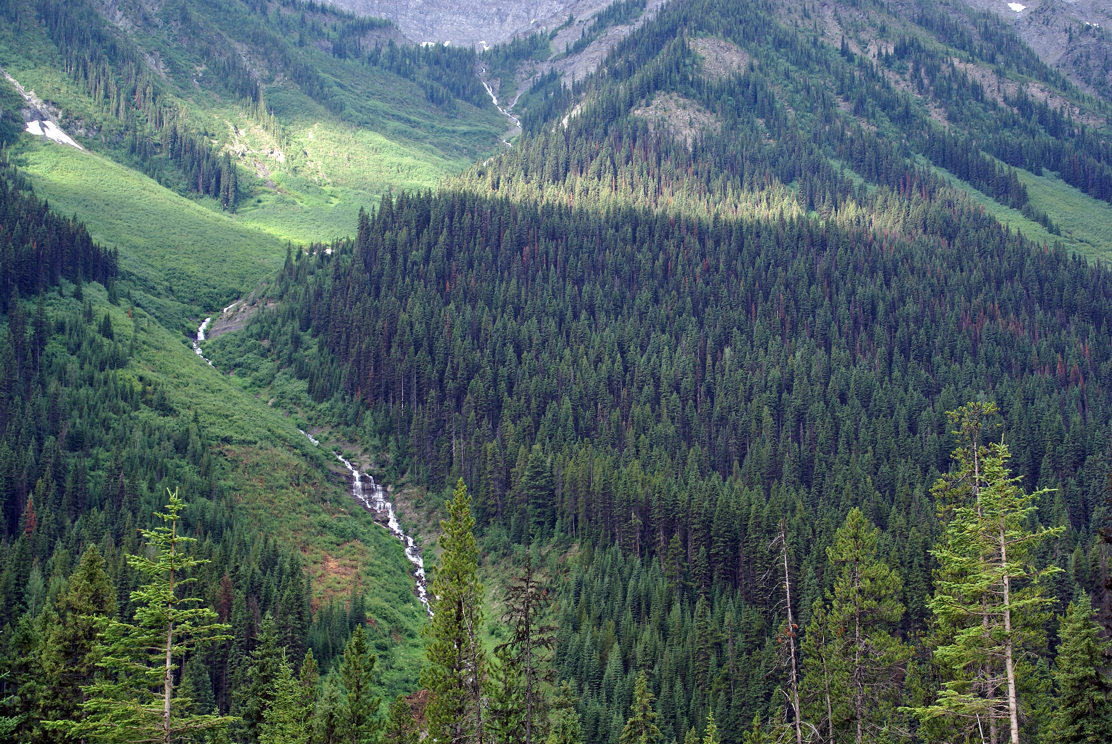 Fonds d'cran Nature Fleuves - Rivires - Torrents RUISSEAU DE MONTAGNE