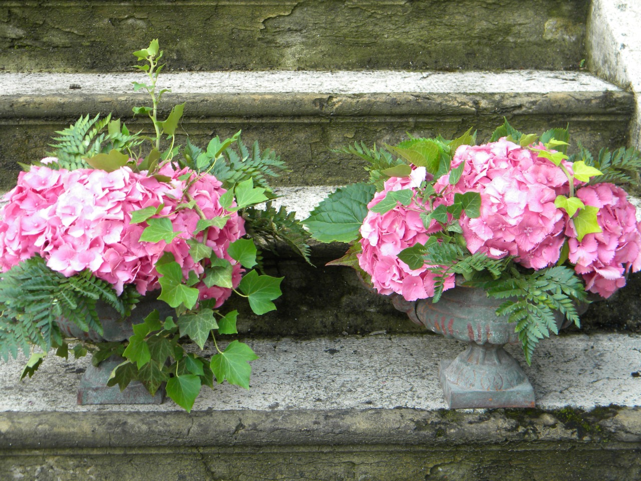 Wallpapers Nature Flowers compositions d'hortensia