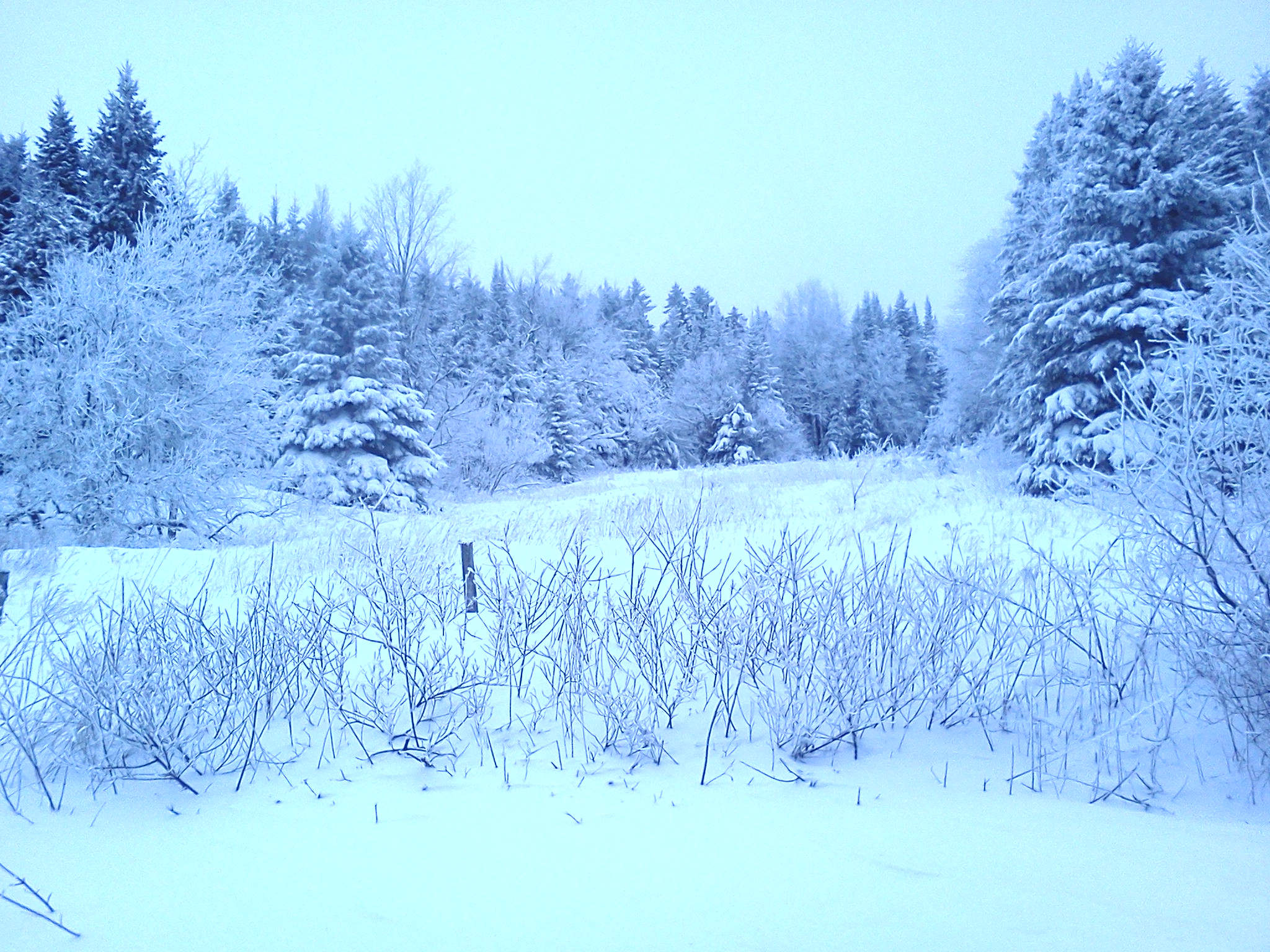 Fonds d'cran Nature Saisons - Hiver 