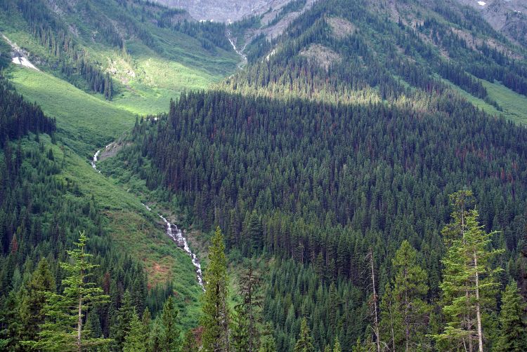 Fonds d'cran Nature Fleuves - Rivires - Torrents RUISSEAU DE MONTAGNE