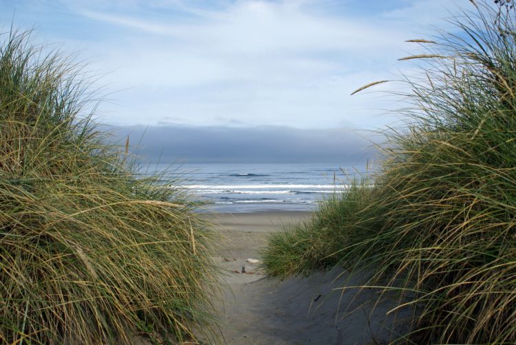 Fonds d'cran Nature Mers - Ocans - Plages REGARD SUR LE PACIFIC