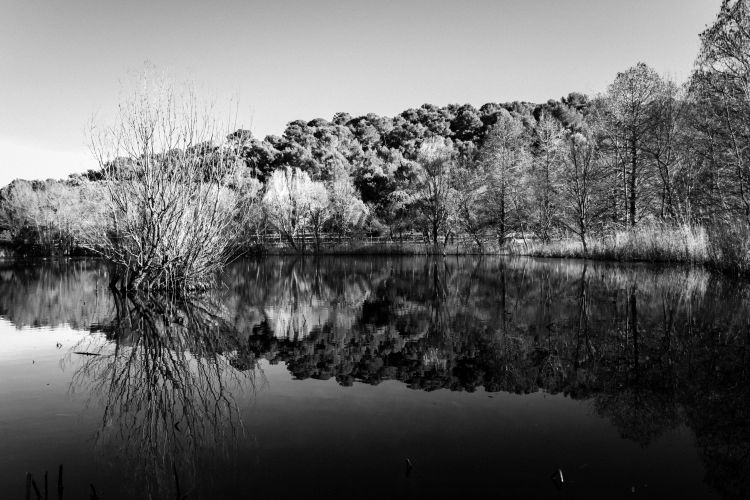 Wallpapers Nature Lakes - Ponds Etang de Fontmerle