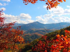  Nature Smokey moutains