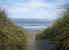  Nature REGARD SUR LE PACIFIC