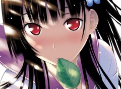  Manga sankarea