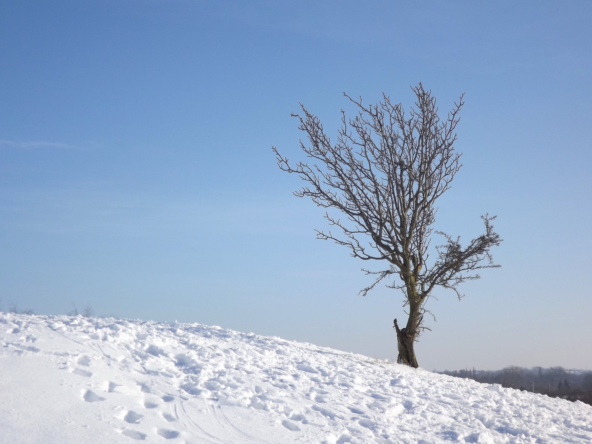 Fonds d'cran Nature Saisons - Hiver 