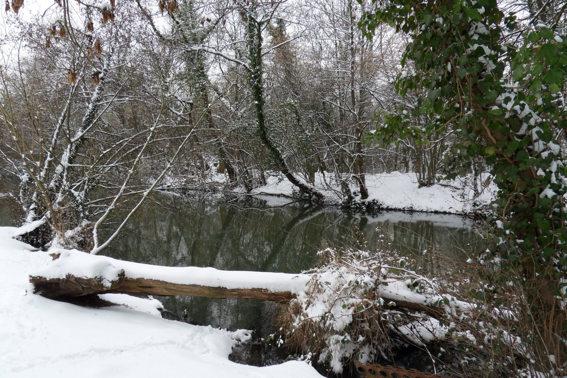 Fonds d'cran Nature Saisons - Hiver 