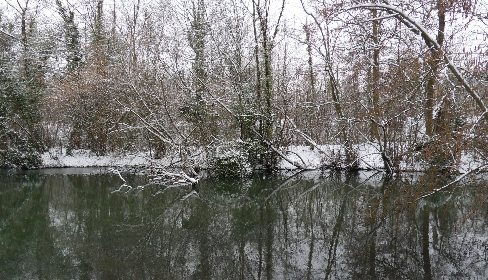 Fonds d'cran Nature Saisons - Hiver 