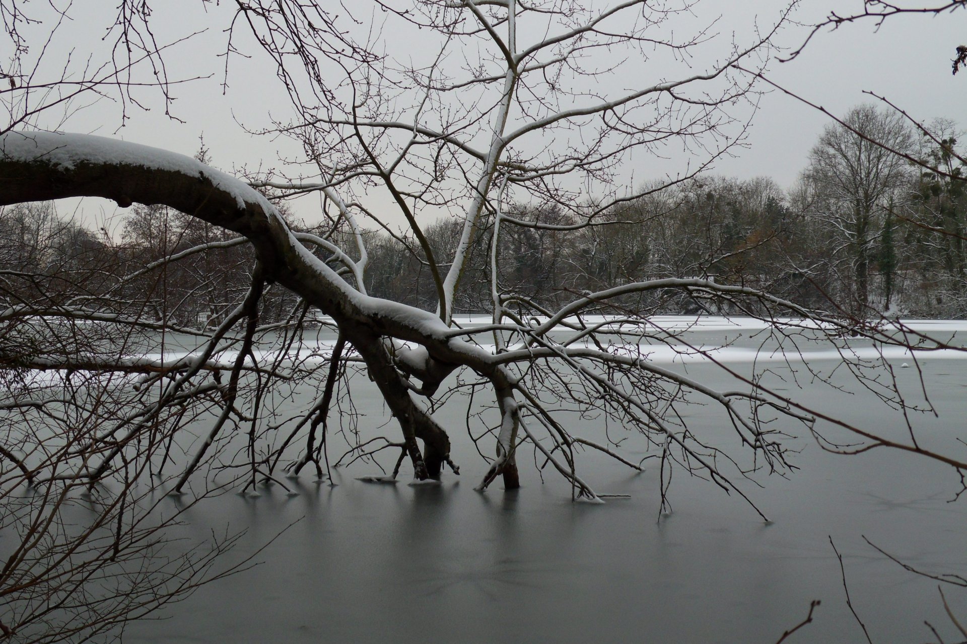 Fonds d'cran Nature Saisons - Hiver 