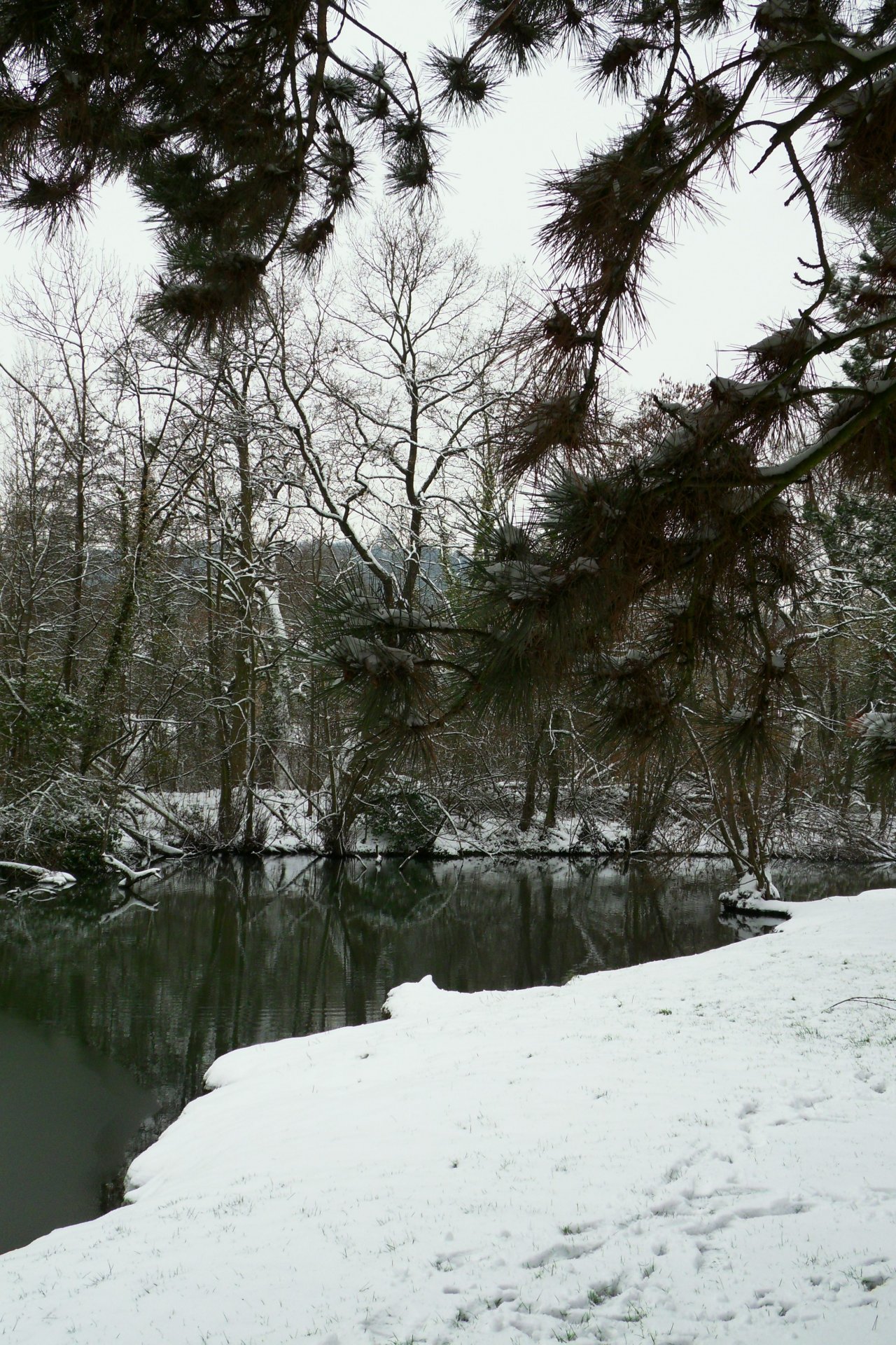 Fonds d'cran Nature Saisons - Hiver 