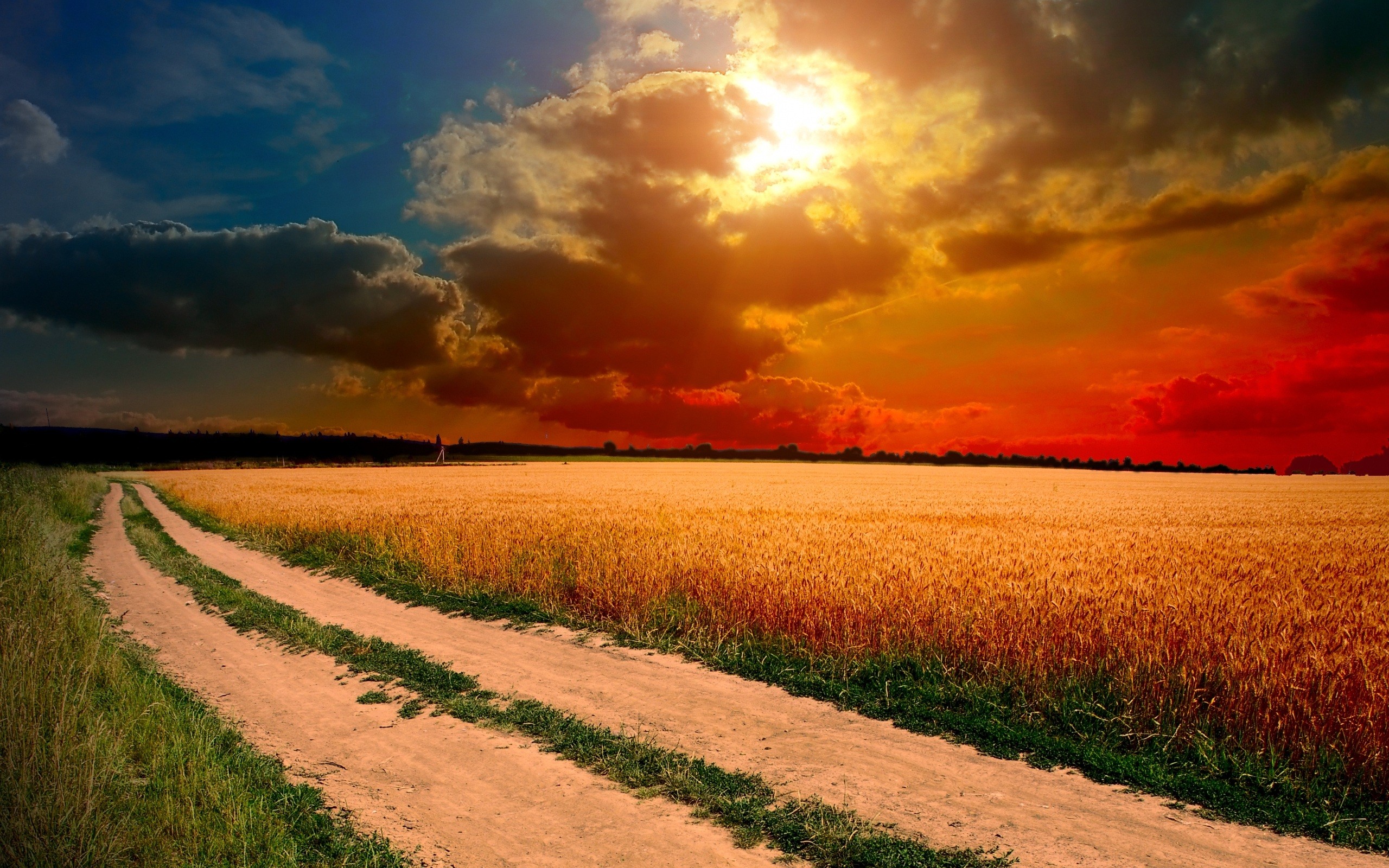 Fonds d'cran Nature Champs - Prairies 