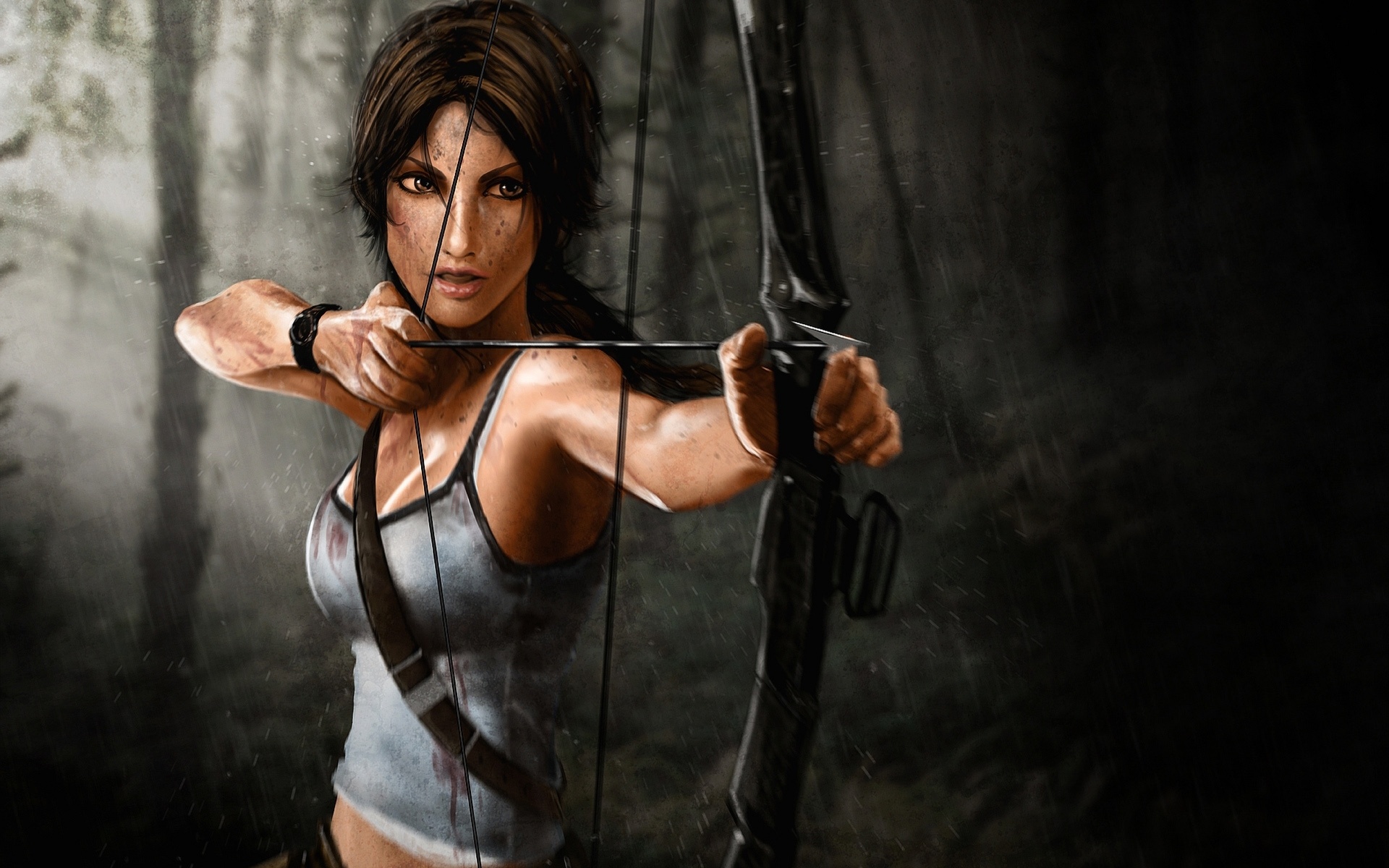 Fonds d'cran Jeux Vido Tomb Raider Origins 