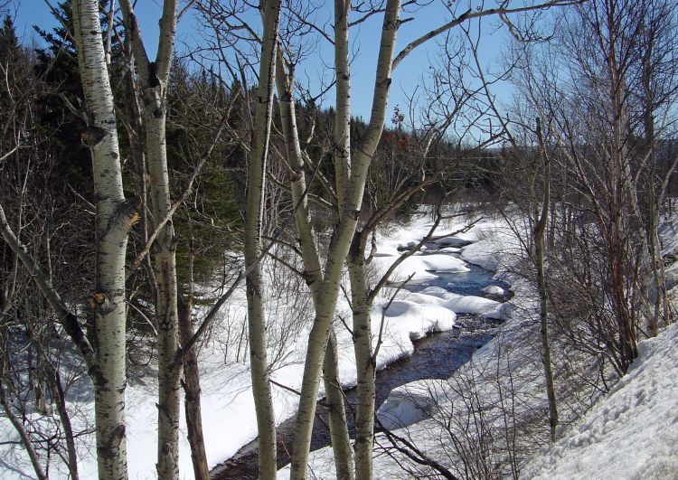 Fonds d'cran Nature Saisons - Hiver LE DEGEL