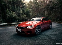  Cars bmw m6