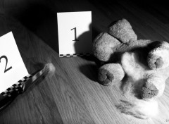  Objects Two Weeks One Shot - Plush Murder !
