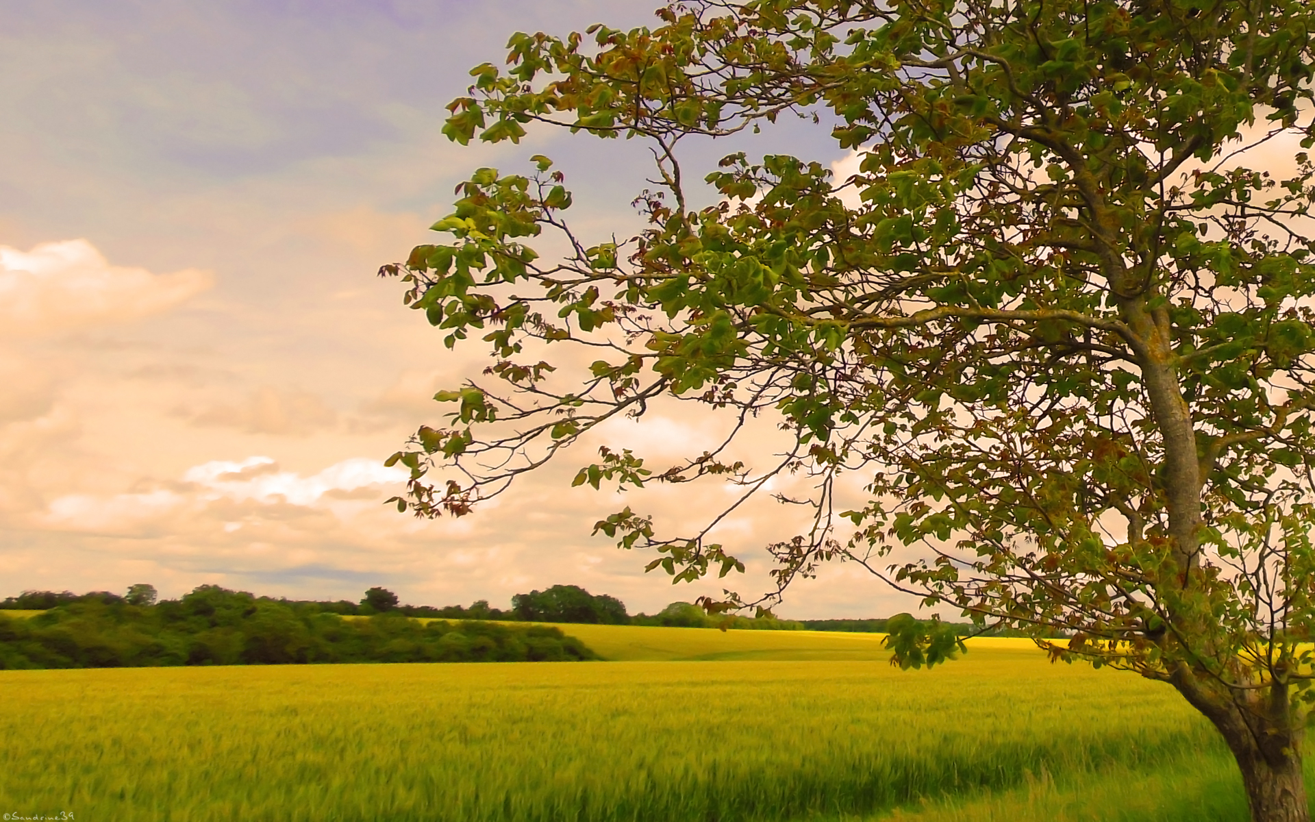 Fonds d'cran Nature Paysages 