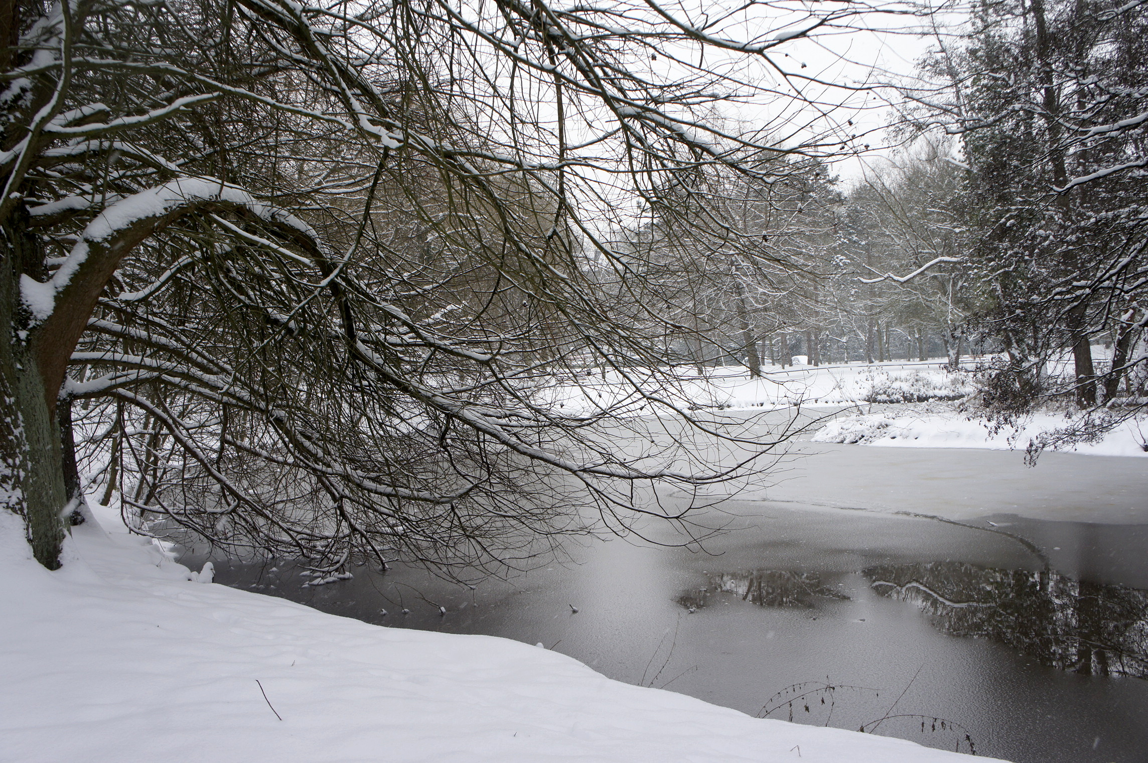 Fonds d'cran Nature Saisons - Hiver La beauté du paysage sous la neige. 