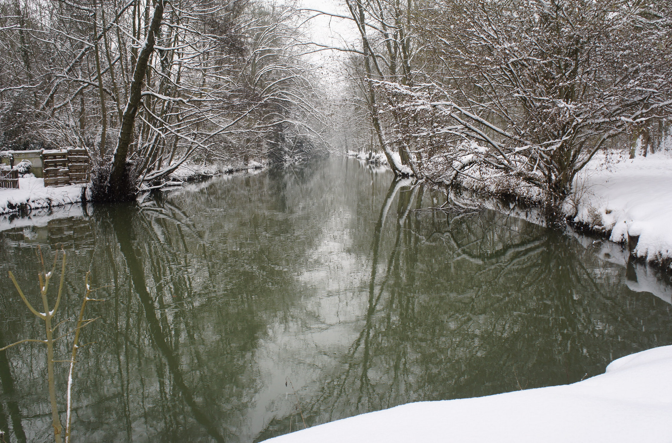 Fonds d'cran Nature Saisons - Hiver La beauté du paysage sous la neige. 