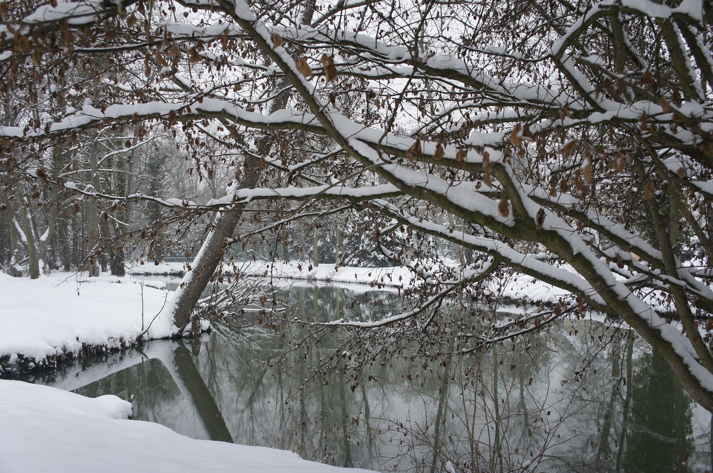 Fonds d'cran Nature Saisons - Hiver La beauté du paysage sous la neige. 