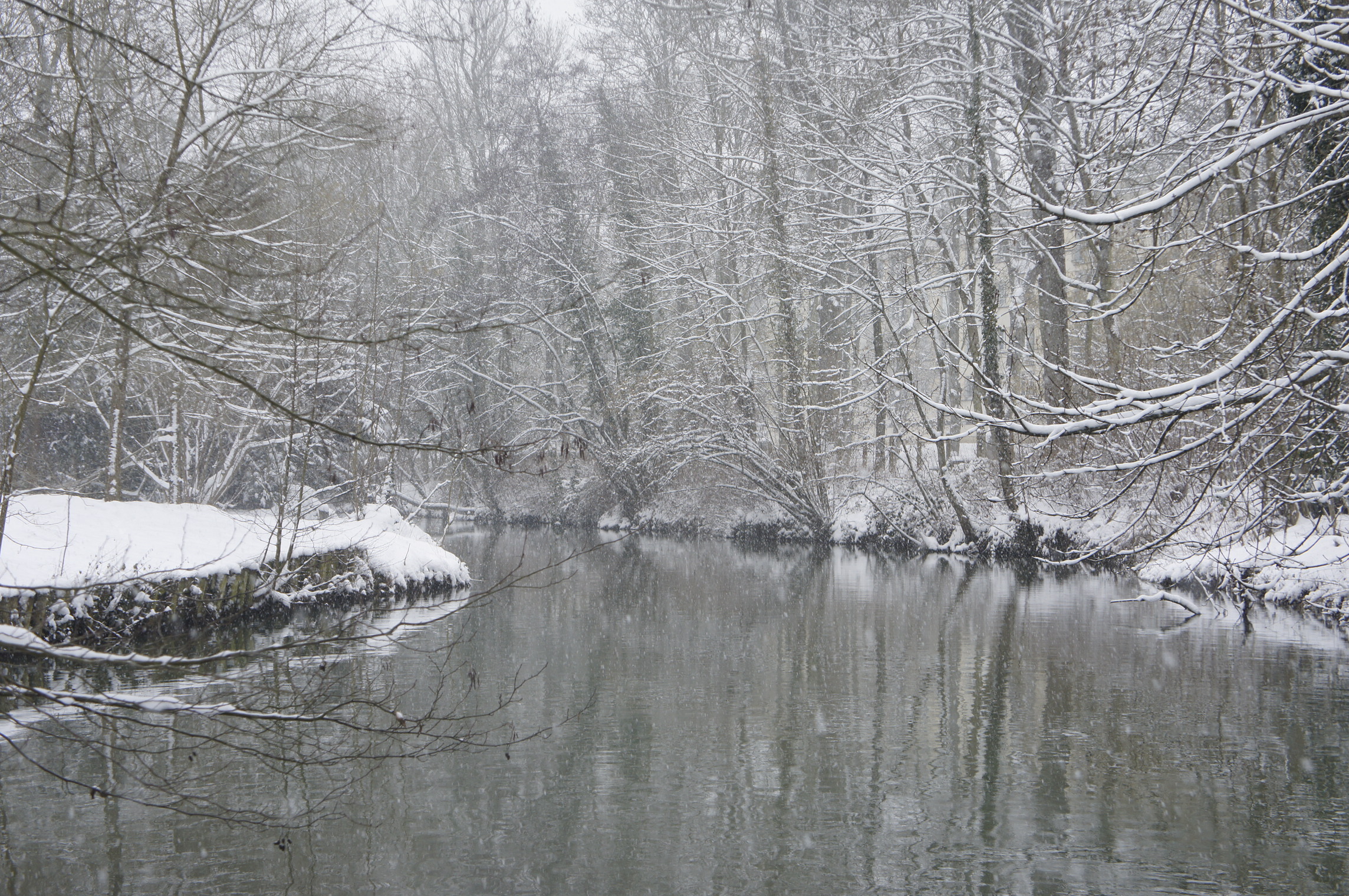 Fonds d'cran Nature Saisons - Hiver La beauté du paysage sous la neige. 