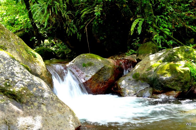 Wallpapers Nature Rivers - Torrents tropical river