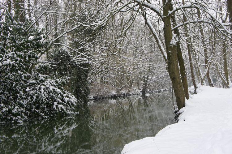 Fonds d'cran Nature Saisons - Hiver La beauté du paysage sous la neige. 