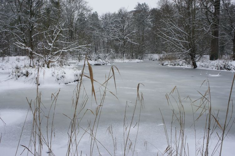 Fonds d'cran Nature Saisons - Hiver La beauté du paysage sous la neige. 